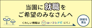 ほいコレナビ2026